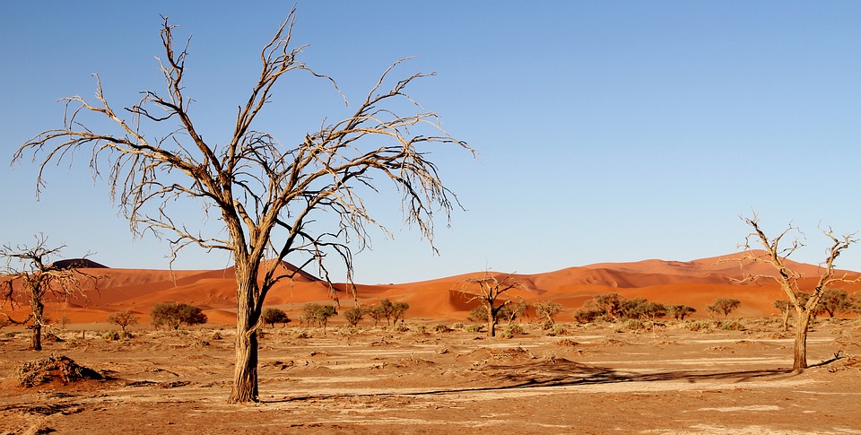 drought-recent-climate-india