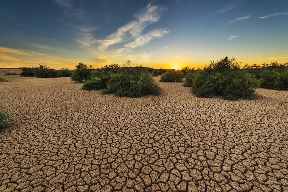 recent-climate-india