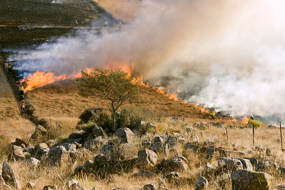 Biggest wildfires in Canary Islands