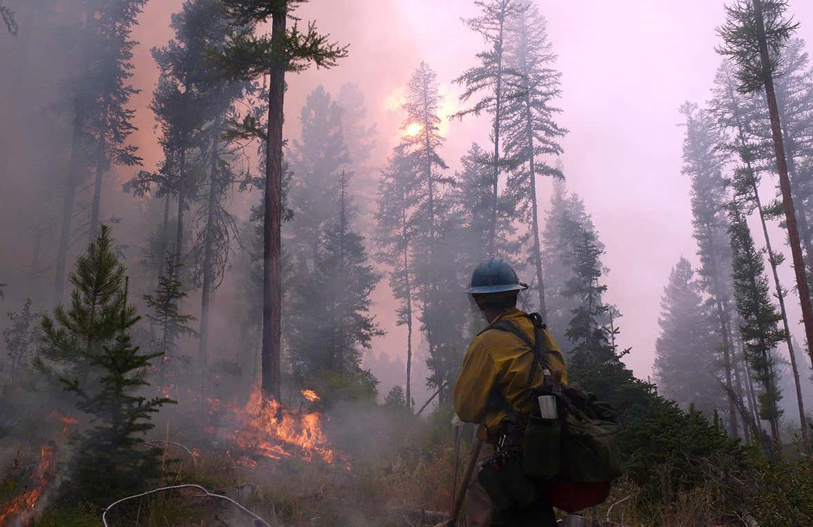 Zombie Forest Fires Due To The World Climate Change - Recent Climate 