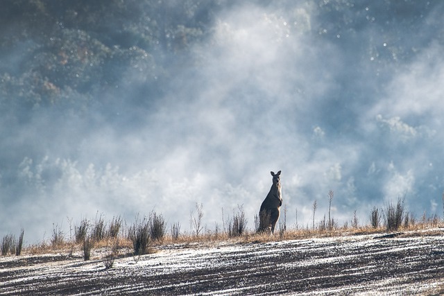 climate change in Australia