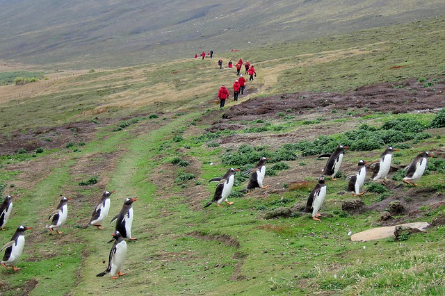 Falkland Islands climate change