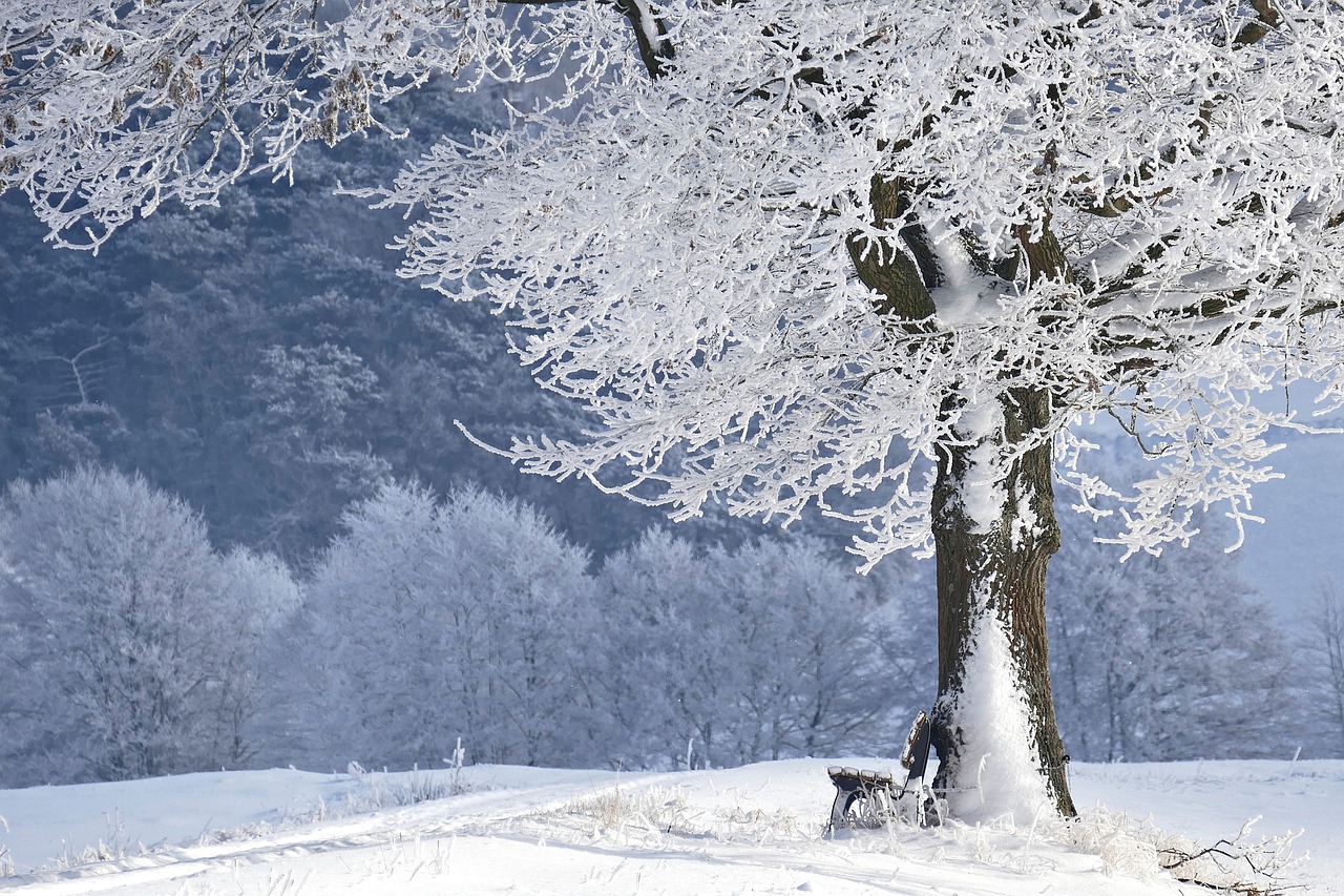 US Frost  Season In 2021