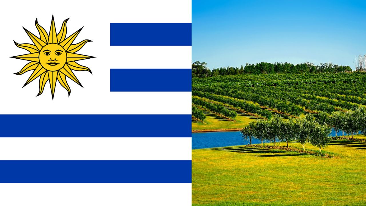 Climate Change in Uruguay