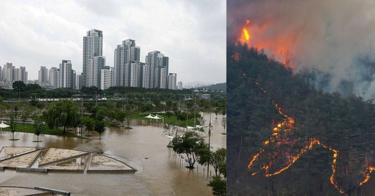 Disaster Risk Management Strategies in South Korea