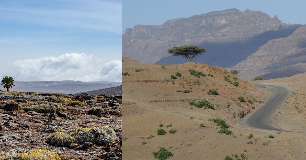 Ethiopia's Basic Climatology and Climate Change