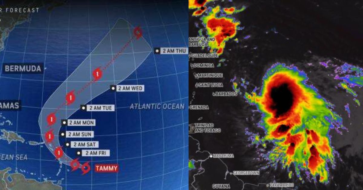 Tropical Storm Tammy Expected to Intensify into Hurricane.