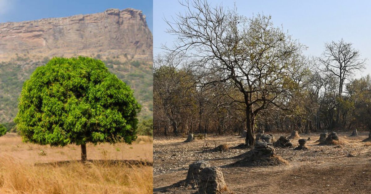 Climate Change in Guinea