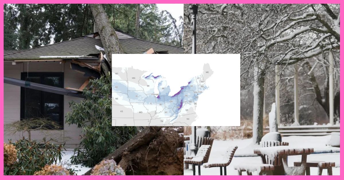 Winter Storms Ravage the US