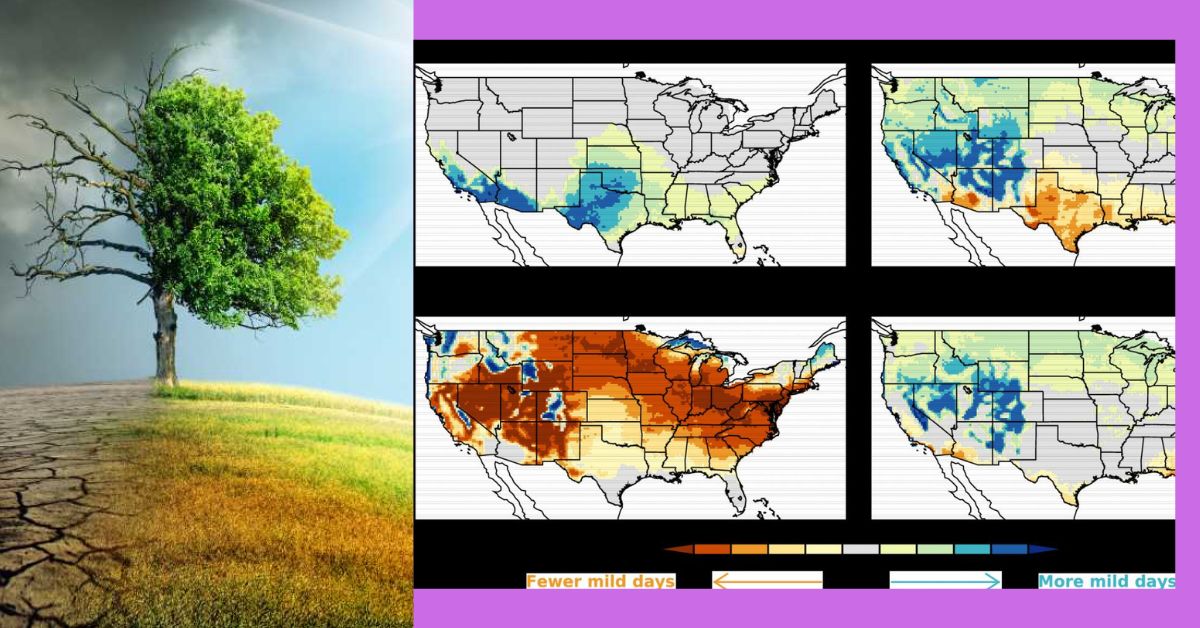 Climate Change Alters Daily Weather Patterns