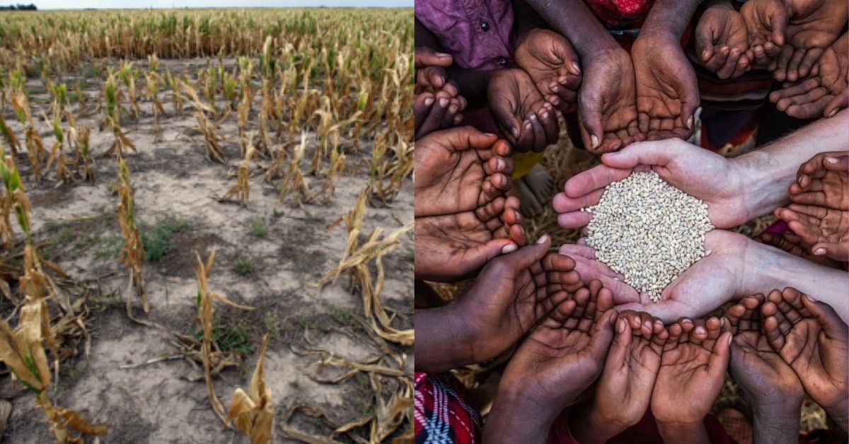 Facing the Global Food Crisis