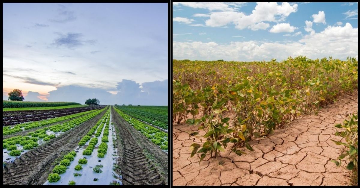 Climate Change in Agriculture