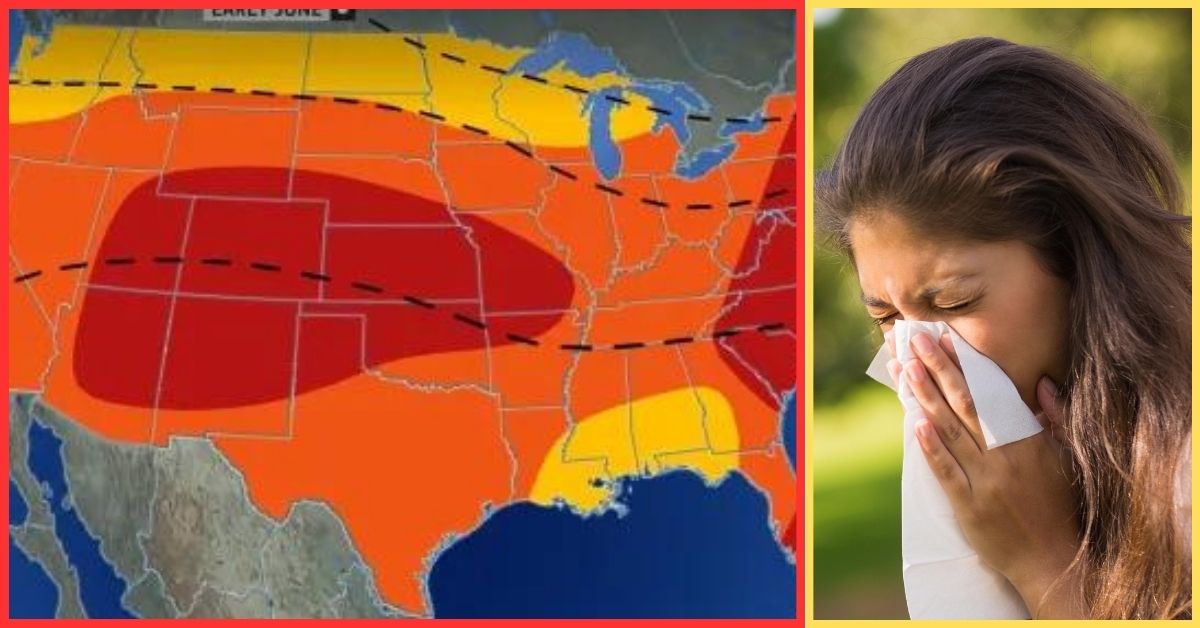 Allergy Forecast For 2024 In US