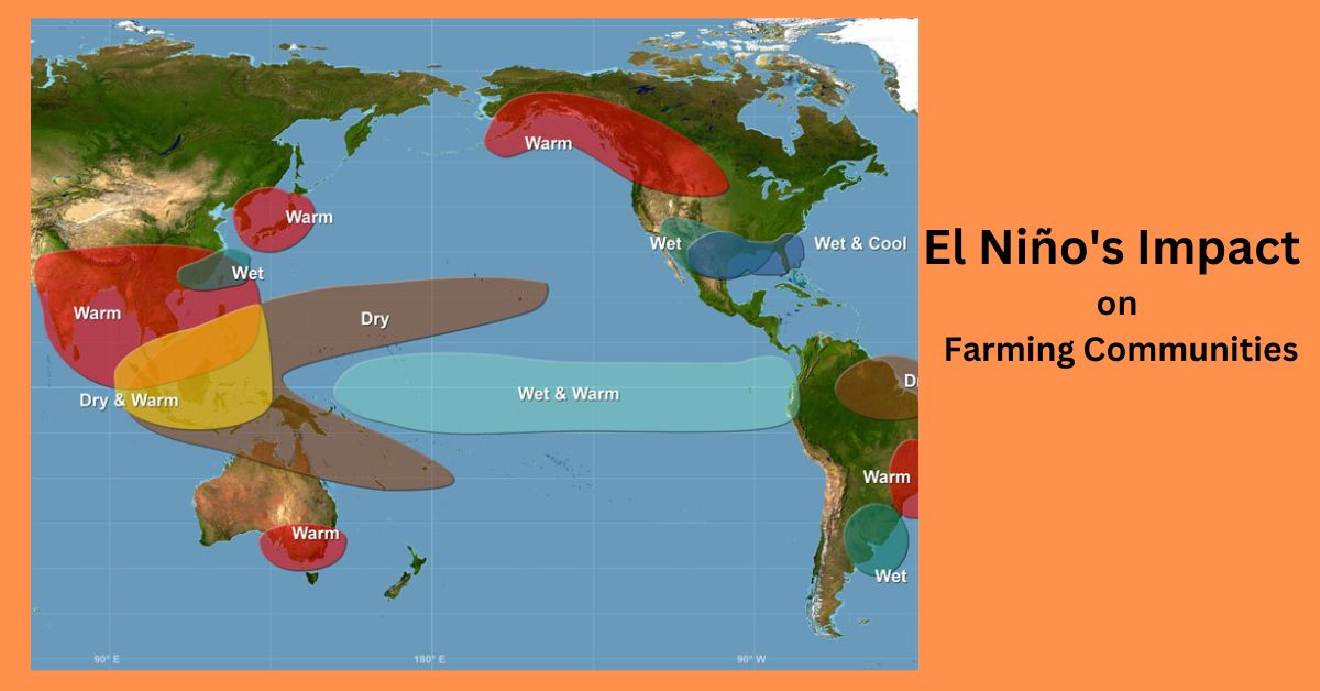 Recent Climate El Niño's Impact on Farming Communities