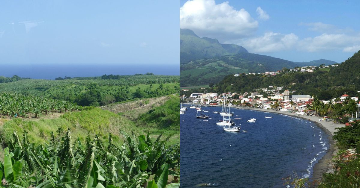 Climate Control Strategies in Martinique, North America